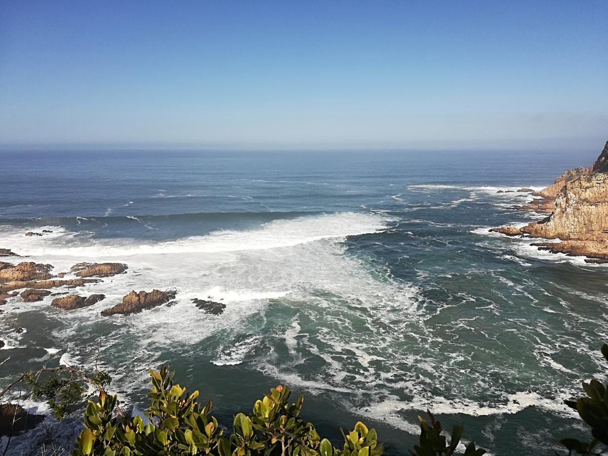 Knysna Herons Guest House Exterior foto